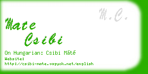 mate csibi business card