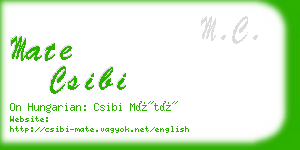 mate csibi business card